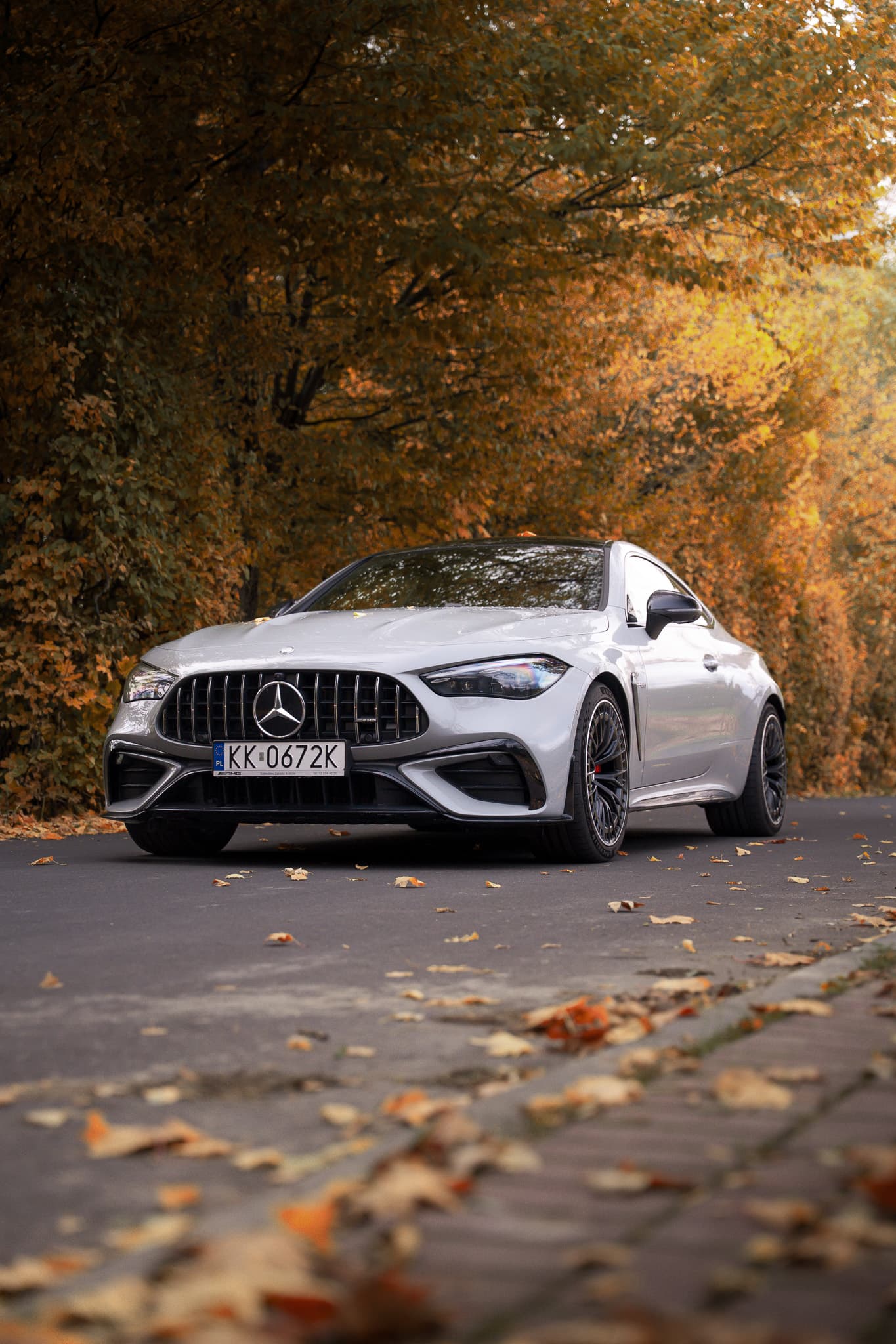 Polish autumn